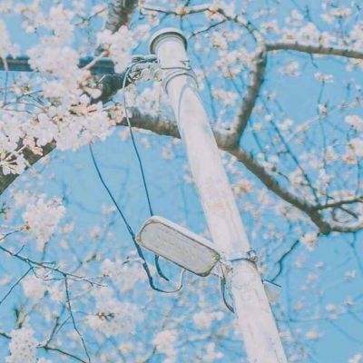 喵喵合成屋游戏(暂未上线)v1.0 安卓版